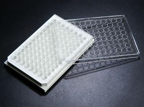 SPL Culture Plate PS White 96 wells Flat bottom TC Treated, Sterile ...