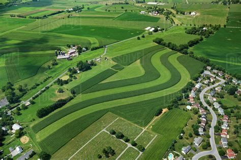 Agriculture - Aerial view of farmsteads and fields utilizing strip cropping, with a cemetery and ...