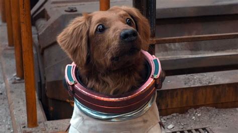 Cosmo the Spacedog explained! Guardians of the Galaxy's adorable new entrant - Entertainment News
