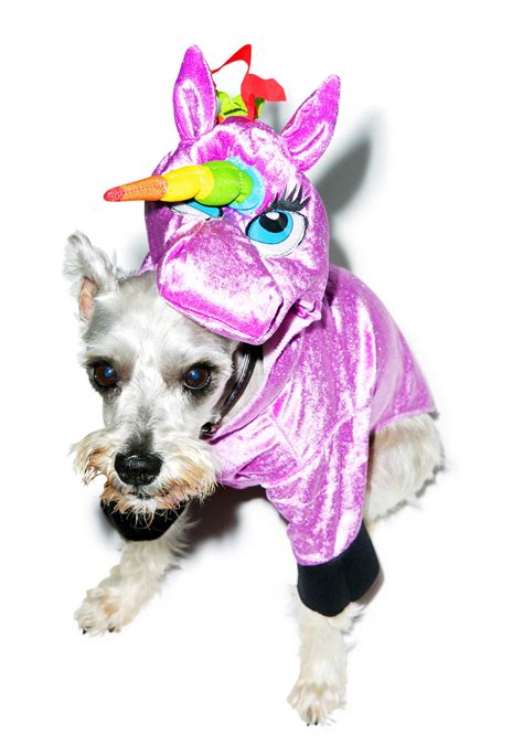 Seeing Is Believing Unicorn Dog Costume | Dolls Kill