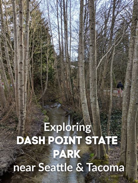 Exploring Dash Point State Park, Washington State | State parks, Washington state travel ...