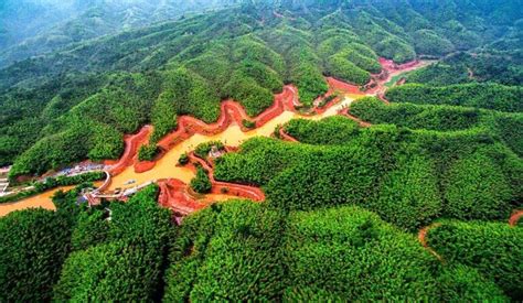 Where to Visit the Bamboo Forests in China? | Expats Holidays