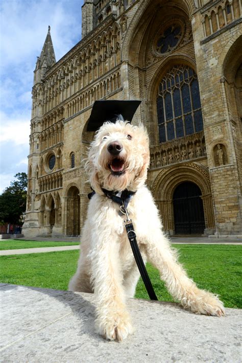 In pictures: Lincoln College students celebrate graduation