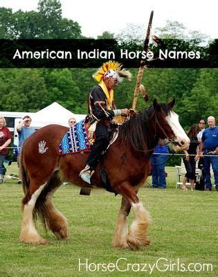 American Indian Horse Names | Indian horses, Horse names, Horses