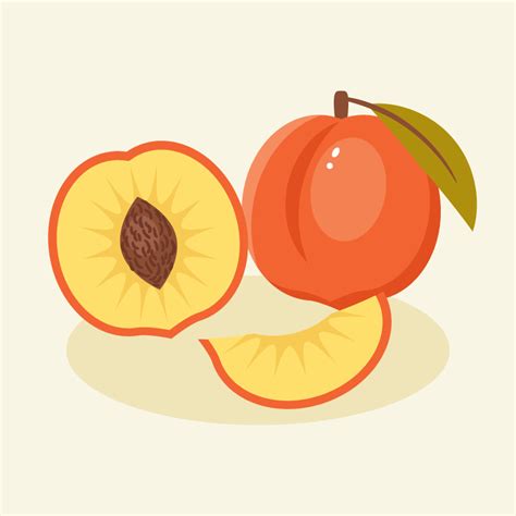 How to Create a Peach Illustration in Adobe Illustrator