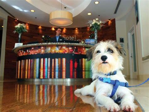 Hotel Indigo’s Baton Rouge Downtown - Property Pick of the Litter ...