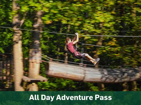 The Adventure Park at Nashville - All Day Adventure Pass | Adventure park, Adventure, Park