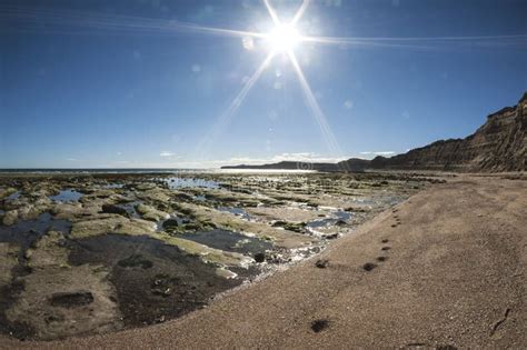 Landscape in the Valdes Peninsula Stock Photo - Image of department ...