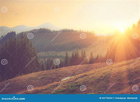 Beautiful Spring Mountain Landscape at Sunrise. Stock Photo - Image of ...