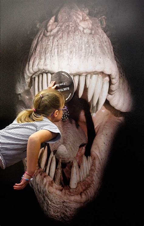 Interactive exhibitions at The Dinosaur Museum - Best of Dorset Attractions