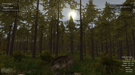 Wolf Simulator — Download