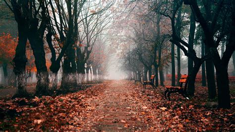 24 Dark Autumn Wallpapers - Wallpaperboat