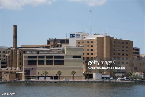 288 Tampa General Hospital Stock Photos, High-Res Pictures, and Images ...