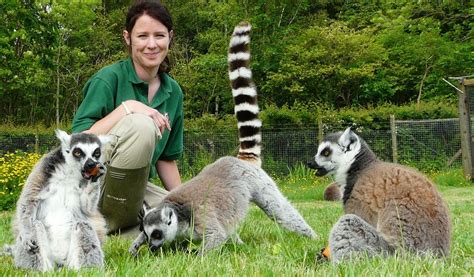 Ultimate Animal Experience at The Lake District Wildlife Park ...