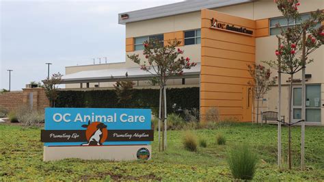 Head of OC Animal Care Steps Down as Activists Fight for Open Shelter ...