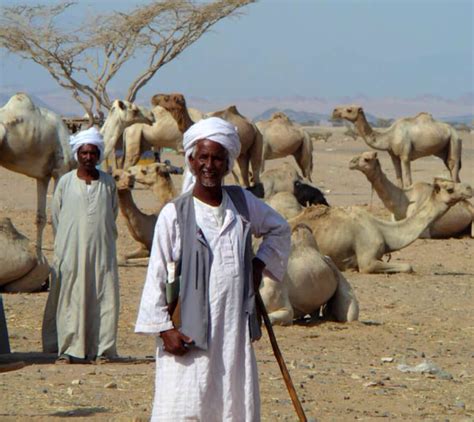 Are Sudanese Arabs? - Genetic Literacy Project