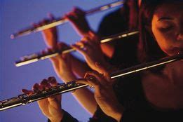 Basic Information - The Flute