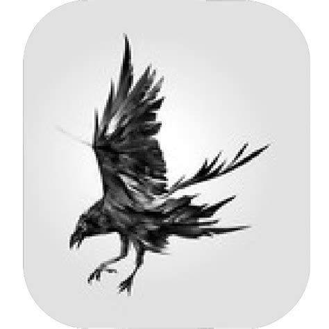 Raven Feather Drawing | Free download on ClipArtMag