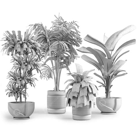 Potted Plants Indoor Collection - Set 0039 3D model