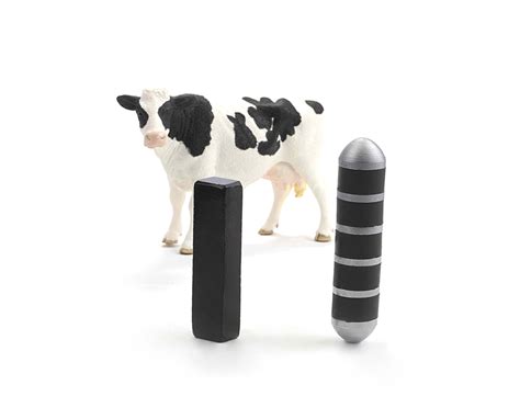 Cow Magnets | Prevent Hardware Disease | Magnet City