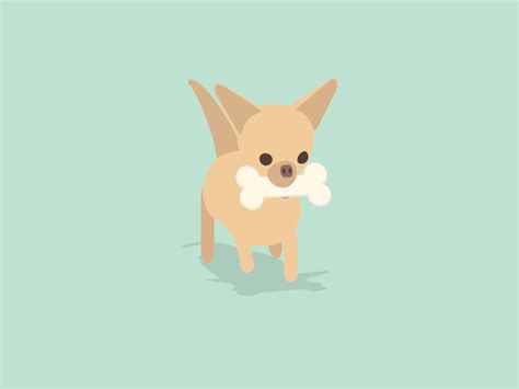 Chihuahua by Miguelgarest on Dribbble