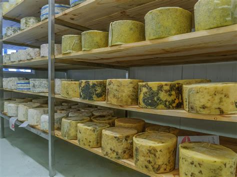 The Wicked Cheese Company | Food and drink | Discover Tasmania