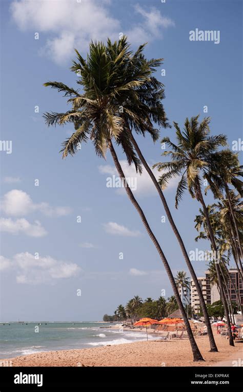 Beaches of maceio brazil hi-res stock photography and images - Alamy