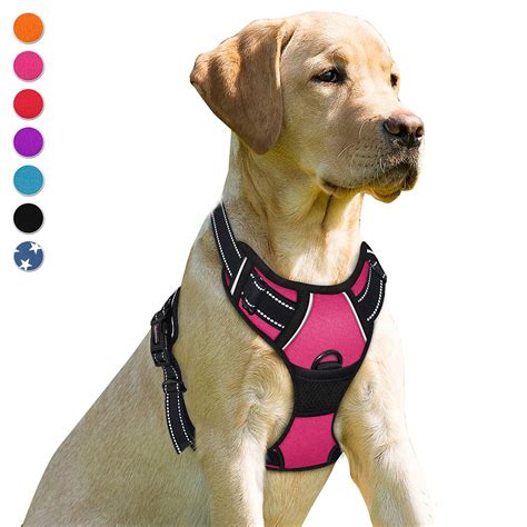 What Is A Front Clip Dog Harness