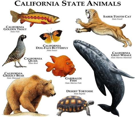 California State Animals Poster Print | Etsy | Animal posters, North ...