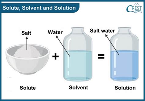 Solute, Solvent, and Solution Class 4 Notes | Science Olympiad