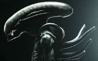 Movie Xenomorph Alien