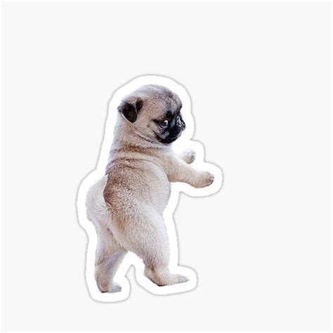 Pug Merch & Gifts for Sale | Redbubble