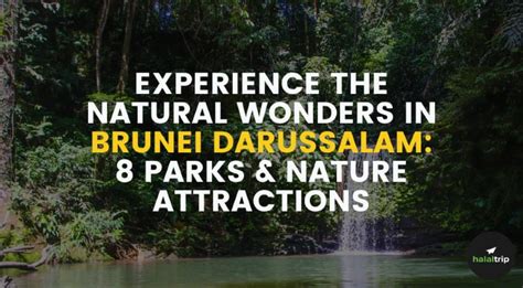 Experience the Natural Wonders in Brunei Darussalam