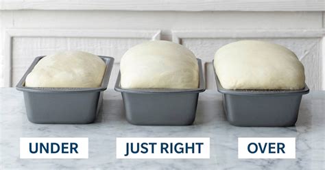 The Ultimate Guide to Proofing Bread Dough | Taste of Home