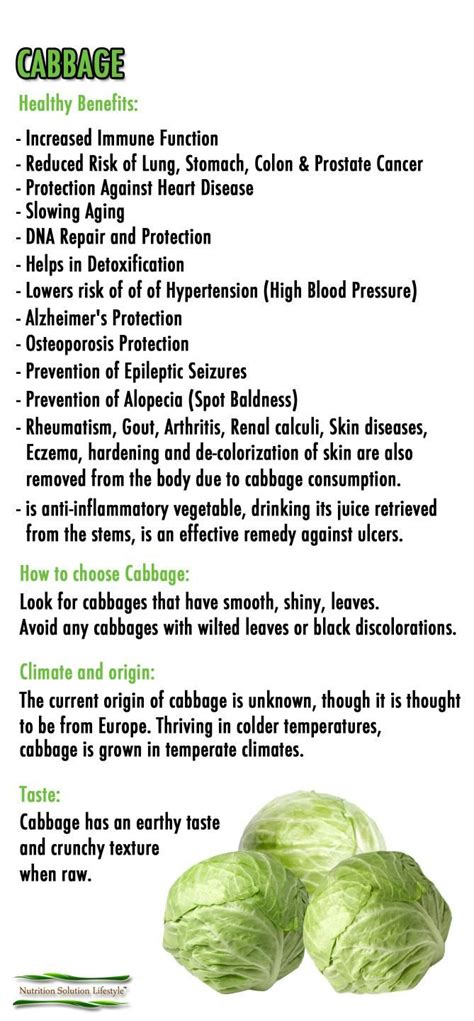 benefits of cabbage | Healthy benefits, Cabbage health benefits, Health and nutrition