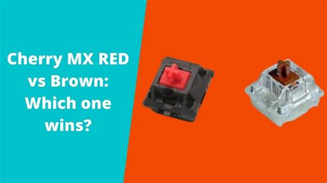 Cherry MX RED vs Brown: Which one Wins?