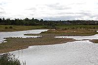 Category:North Cave Wetlands Nature Reserve - Wikimedia Commons