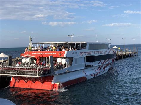 A Perfect Day Trip to Rottnest Island - Carry On Queen