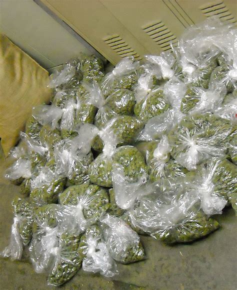 The Humboldt County Sheriff's Office sent us photos of a bunch of bags of weed | News Blog