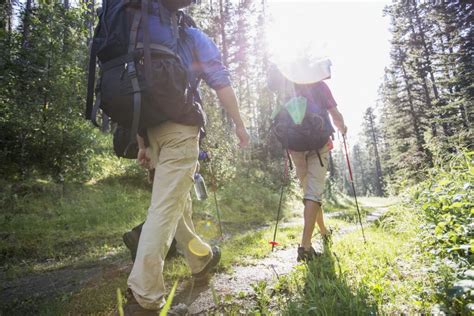 9 best high waisted hiking pants to comfortably hit the trails - Wapiti ...