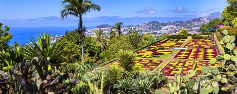 The Funchal botanic garden. - Madeira - Portugal