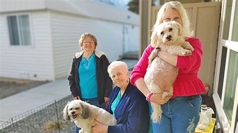 Dog Saves Owner by Leaping a Fence To Find Help | Woman's World