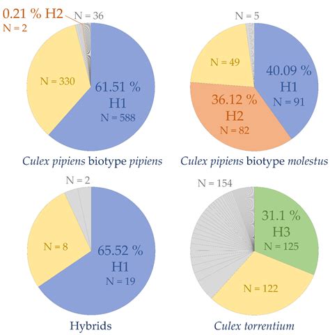 Diversity | Free Full-Text | DNA Identification and Diversity of the Vector Mosquitoes Culex ...