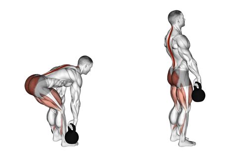 4 Kettlebell Deadlift Benefits & Forms (With Pictures) - Inspire US