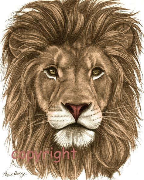 Lion Face Drawing at GetDrawings | Free download