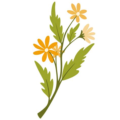 Twig with flowers. Daisies, wildflowers. Botanical illustration for decor, wedding, postcards ...