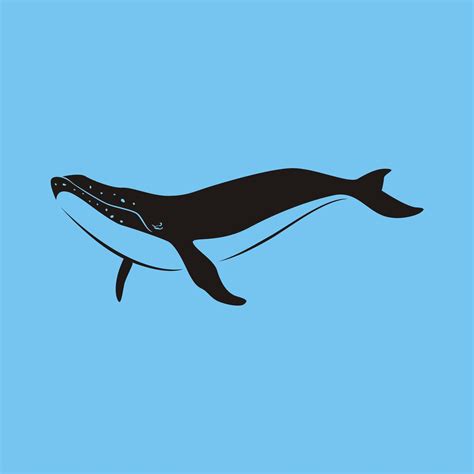 vector whale illustrations - Vector | Whale illustration, Whale, Illustration