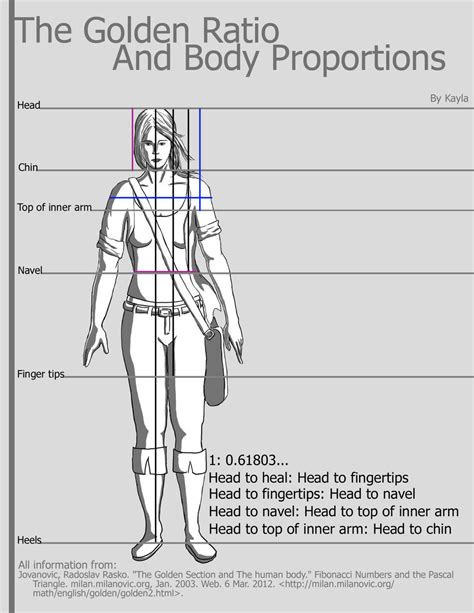 The Golden Ratio and Body Proportions by lighthouse-beacon on DeviantArt