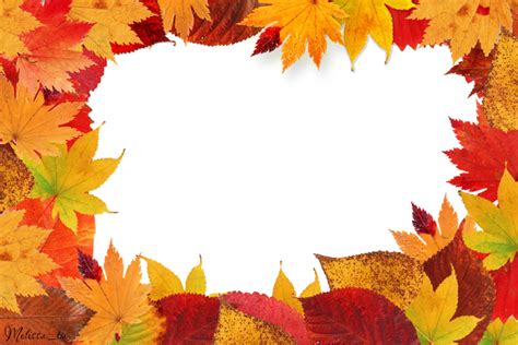 autumn leaves frame PNG leaf