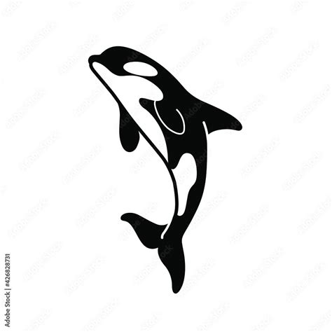 Cartoon killer whale. Сute animal character. Vector illustration. Stock Vector | Adobe Stock